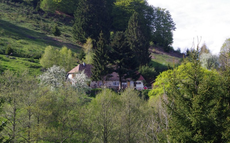 Bruckenwald auberge