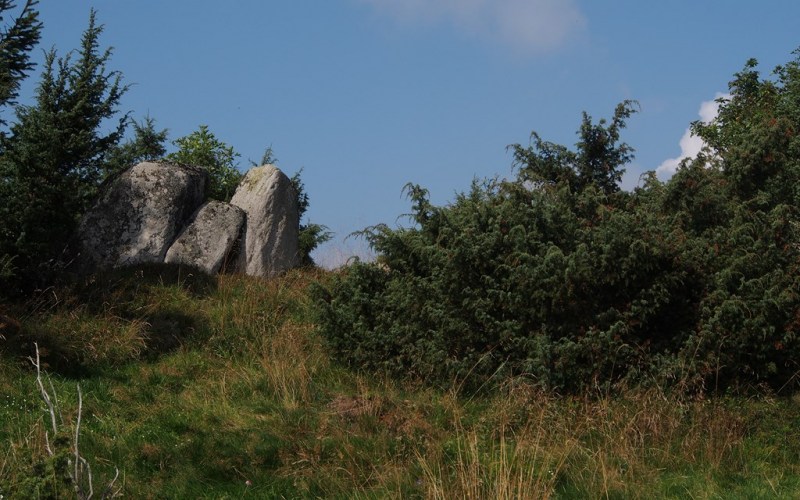 Les petits dolmens du Steinkopf