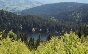 Le lac Vert ou de Soultzeren