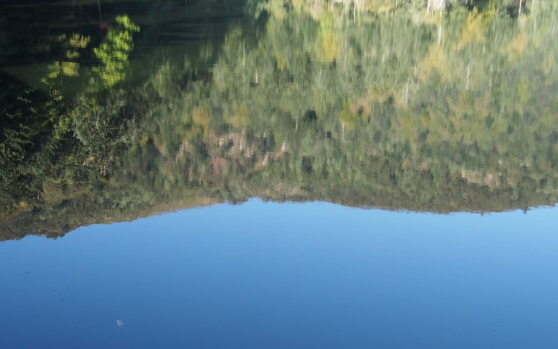 Le lac de l\'Altenweiher