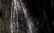 Les cascades du Wagenstallbach