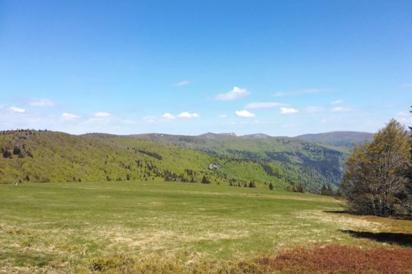 Panorama sur les Hautes Vosges